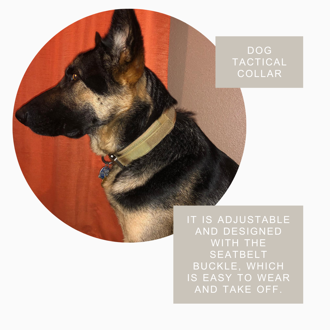 Tactical Dog Collar